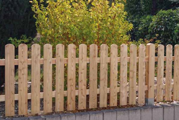 Rundbogenlatte Europäische Lärche/Douglasie Frühbesteller