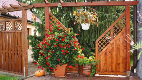 Sichtschutzzaun Hamburg 90 x 90 cm