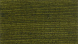 Koranol Tannengrün Imprägnierlasur 2,5 l