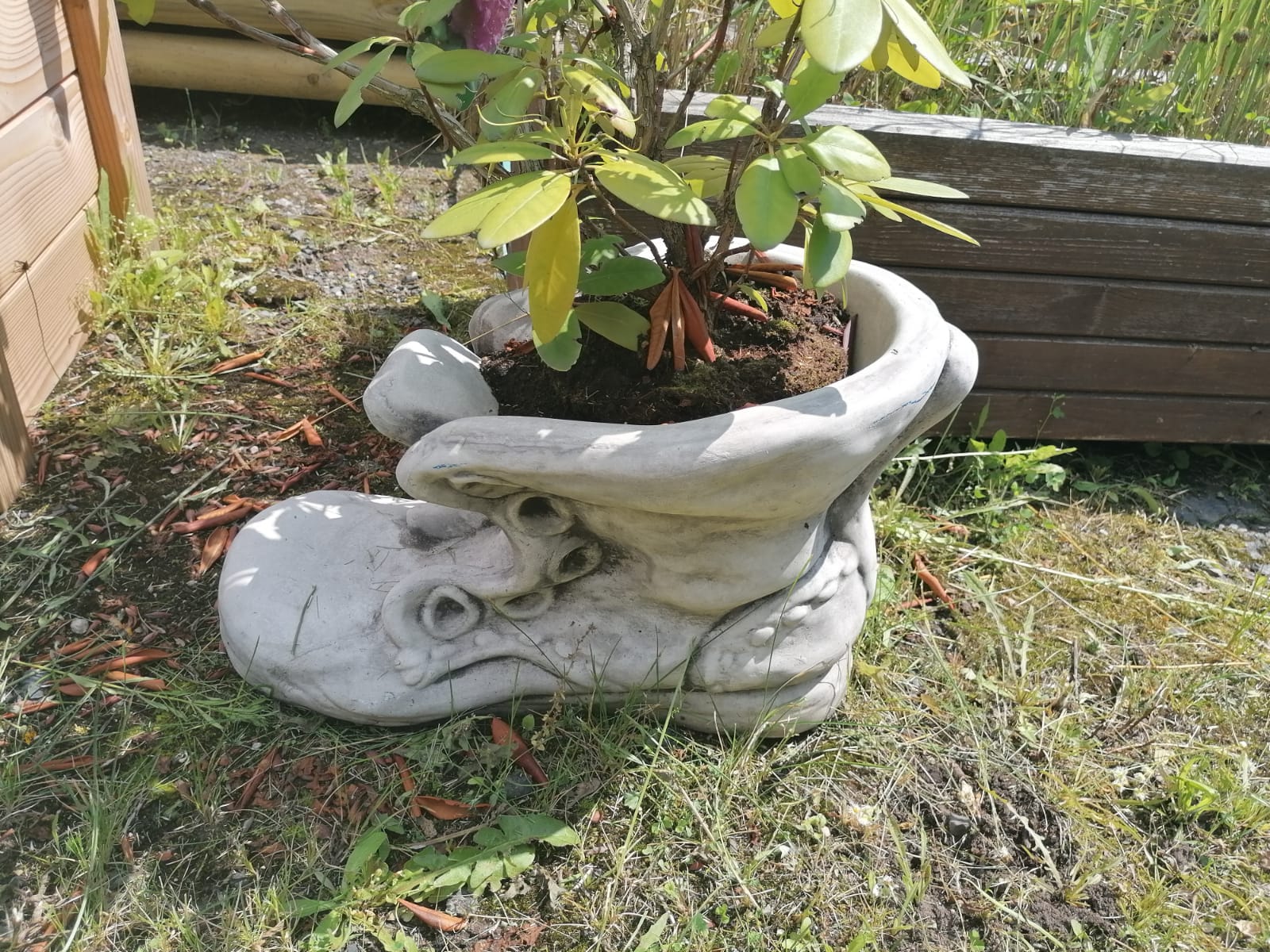 Pflanzgefäß CALCEUS