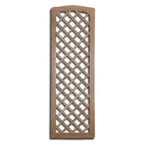 Rankgitter Amsterdam mit Oberbogen 60x180-183 cm