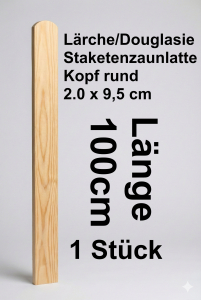 Rundbogenlatte Lärche/Douglasie 20 x 95 x 1000 mm