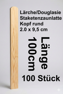 Rundbogenlatte Lärche/Douglasie 20 x 95 x 1000 mm 100 Stück